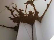 成綿路防水補(bǔ)漏公司